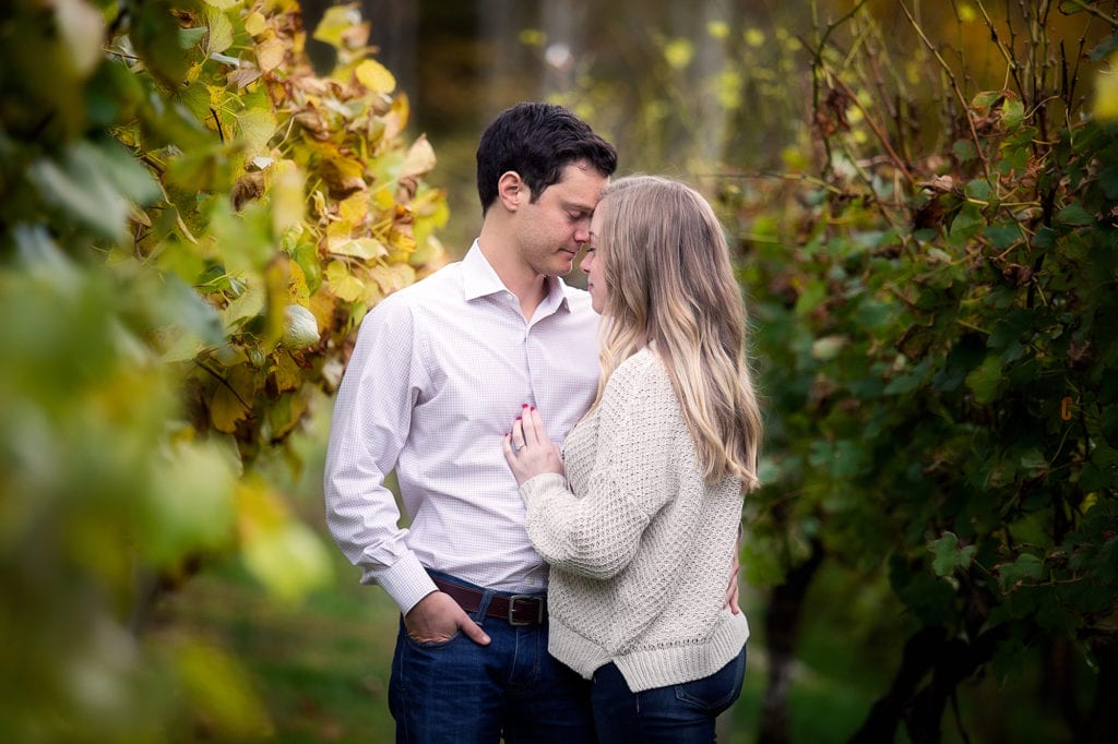 grandfather winery engagement session banner elk nc photographer